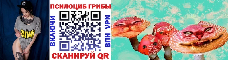 Галлюциногенные грибы Psilocybe  где можно купить наркотик  Семилуки 