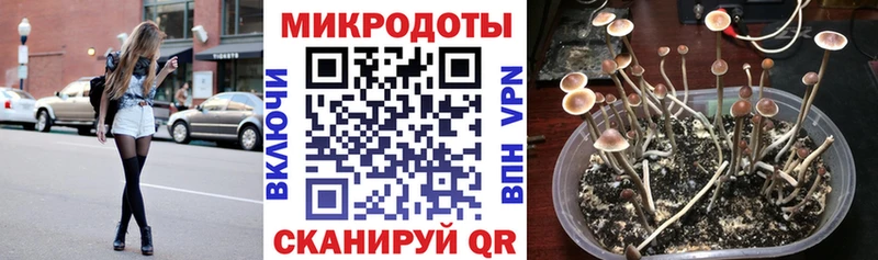 Галлюциногенные грибы ЛСД Семилуки