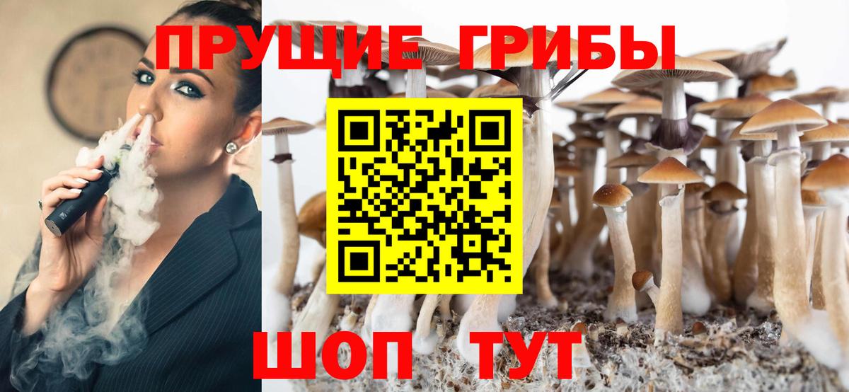 Псилоцибиновые грибы Psilocybine cubensis  Вход с VPN  Семилуки  Галлюциногенные грибы Psilocybe 